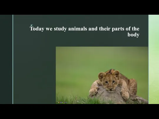 Today we study animals and their parts of the body