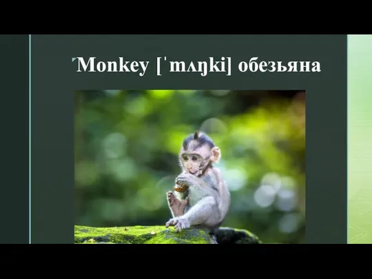 Monkey [ˈmʌŋki] обезьяна