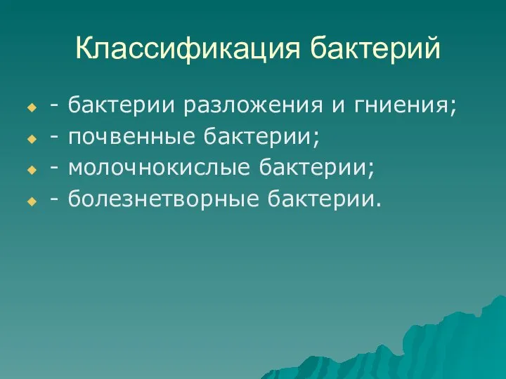 Классификация бактерий - бактерии разложения и гниения; - почвенные бактерии; - молочнокислые бактерии; - болезнетворные бактерии.