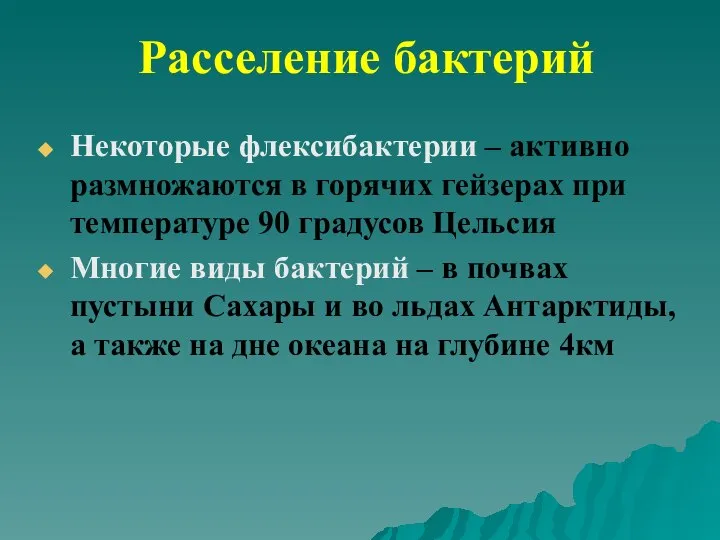 Расселение бактерий Некоторые флексибактерии – активно размножаются в горячих гейзерах при