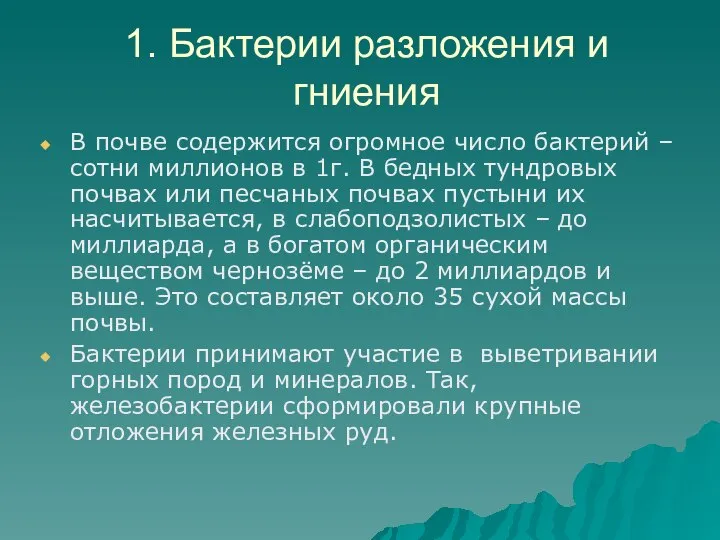 1. Бактерии разложения и гниения В почве содержится огромное число бактерий