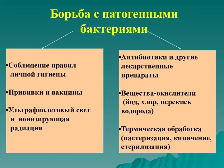 Борьба с патогенными бактериями Соблюдение правил личной гигиены Прививки и вакцины