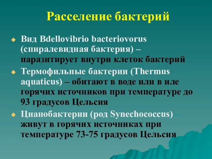 Расселение бактерий Вид Bdellovibrio bacteriovorus (спиралевидная бактерия) – паразитирует внутри клеток