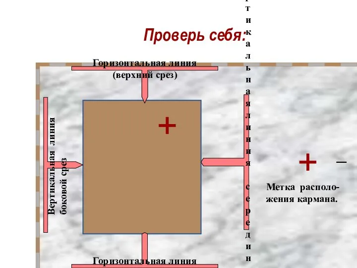 Проверь себя: Горизонтальная линия (верхний срез) Вертикальная линия боковой срез Вертикальная