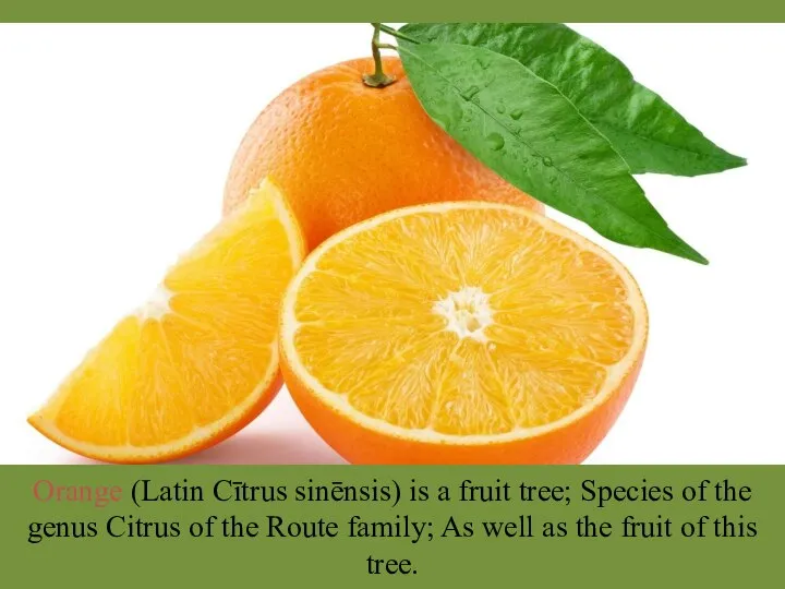 Orange (Latin Cītrus sinēnsis) is a fruit tree; Species of the