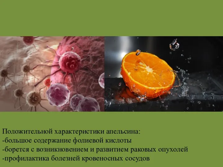 Положительной характеристики апельсина: -большое содержание фолиевой кислоты -борется с возникновением и