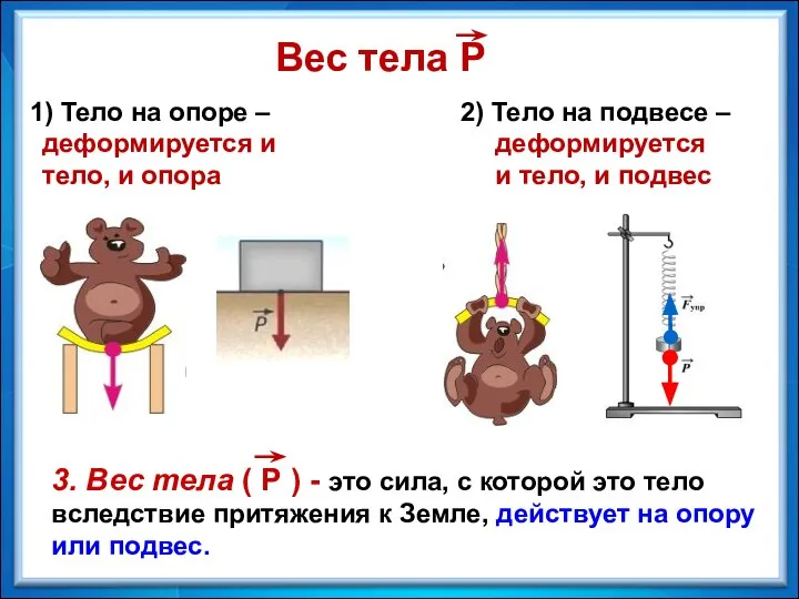 1) Тело на опоре – 2) Тело на подвесе – Вес