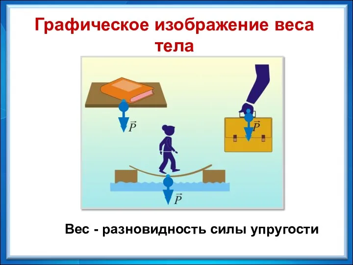 Графическое изображение веса тела Вес - разновидность силы упругости