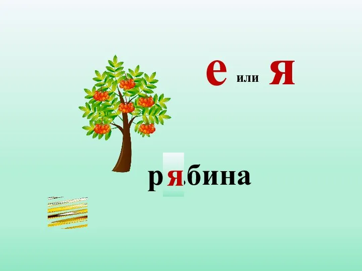 р...бина я или е я