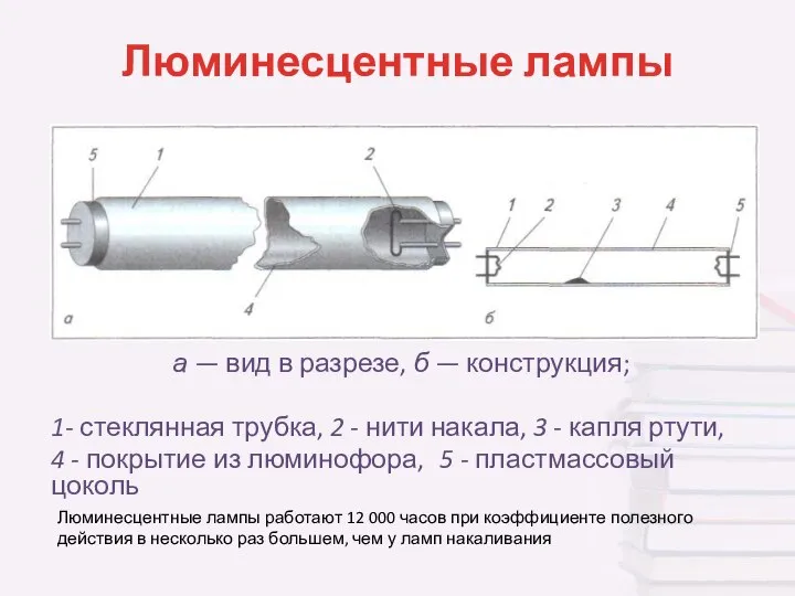 Люминесцентные лампы а — вид в разрезе, б — конструкция; 1-