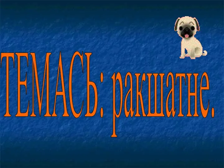 ТЕМАСЬ: ракшатне.