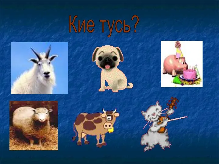 Кие тусь?