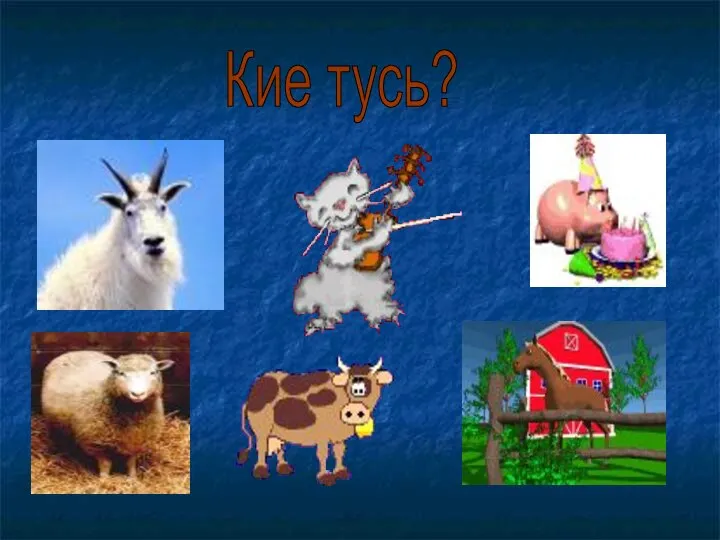 Кие тусь?