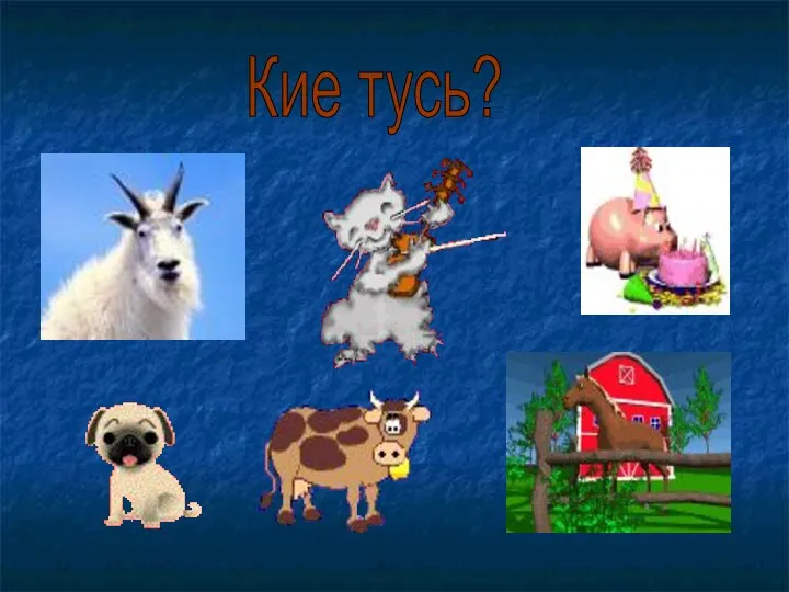 Кие тусь?