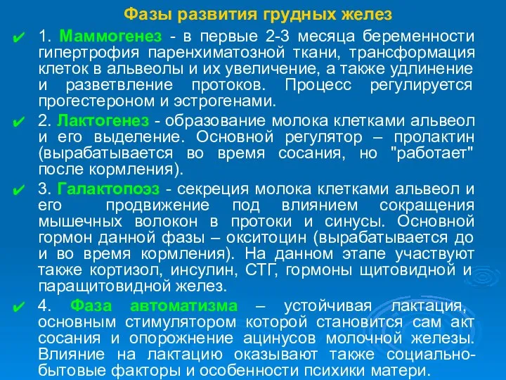 Фазы развития грудных желез 1. Маммогенез - в первые 2-3 месяца