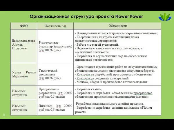 Организационная структура проекта Flower Power