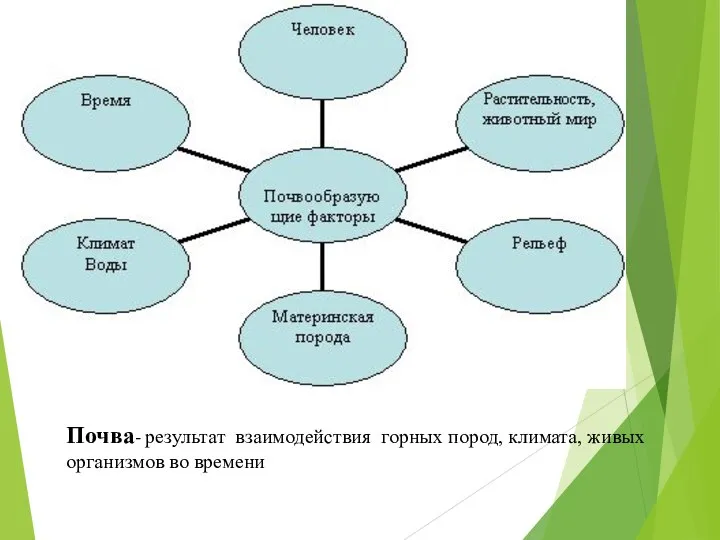 Почва- результат взаимодействия горных пород, климата, живых организмов во времени