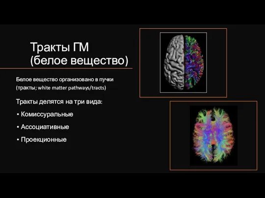 Тракты ГМ (белое вещество) Тракты делятся на три вида: Комиссуральные Ассоциативные