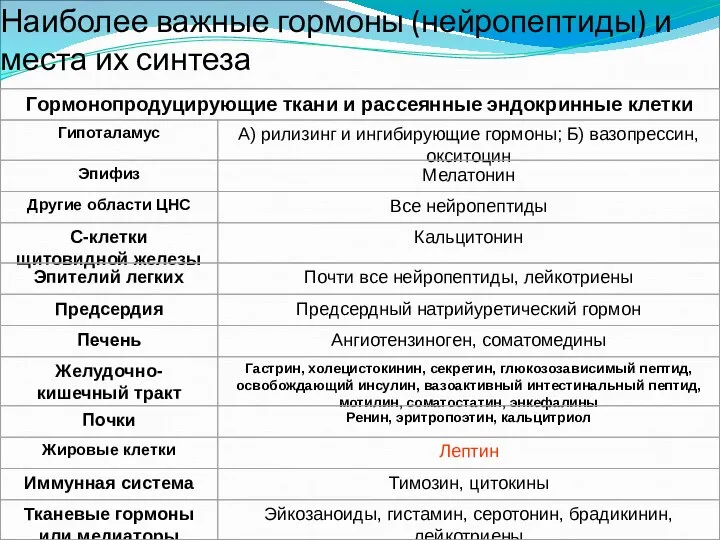 Наиболее важные гормоны (нейропептиды) и места их синтеза