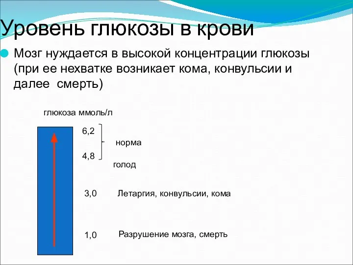 Уровень глюкозы в крови Мозг нуждается в высокой концентрации глюкозы (при