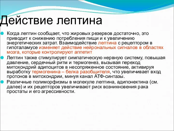 Действие лептина Когда лептин сообщает, что жировых резервов достаточно, это приводит