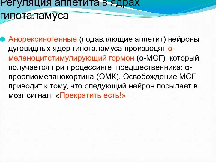 Регуляция аппетита в ядрах гипоталамуса Анорексиногенные (подавляющие аппетит) нейроны дуговидных ядер