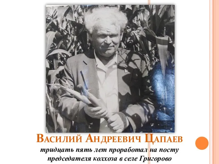 Василий Андреевич Цапаев тридцать пять лет проработал на посту председателя колхоза в селе Григорово