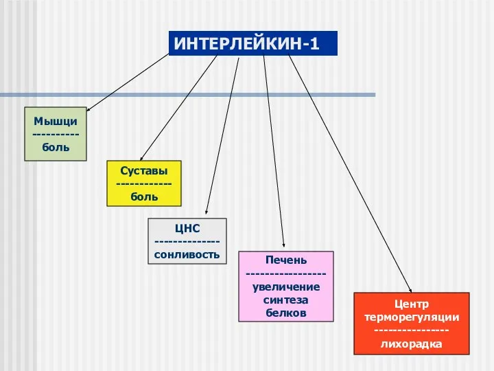 ИНТЕРЛЕЙКИН-1 Мышци ----------боль Суставы ------------ боль ЦНС -------------- сонливость Печень -----------------