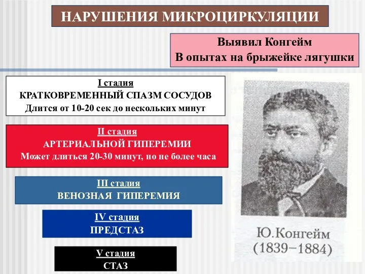 НАРУШЕНИЯ МИКРОЦИРКУЛЯЦИИ Выявил Конгейм В опытах на брыжейке лягушки І стадия