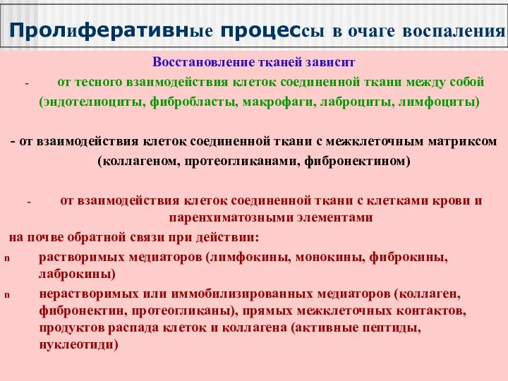 Пролиферативные процессы в очаге воспаления Восстановление тканей зависит от тесного взаимодействия