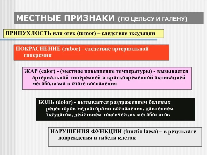 МЕСТНЫЕ ПРИЗНАКИ (ПО ЦЕЛЬСУ И ГАЛЕНУ) ПРИПУХЛОСТЬ или отек (tumor) –