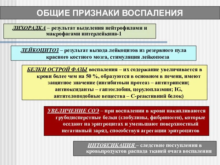 ОБЩИЕ ПРИЗНАКИ ВОСПАЛЕНИЯ ЛИХОРАДКА – результат выделения нейтрофилами и макрофагами интерлейкина-1