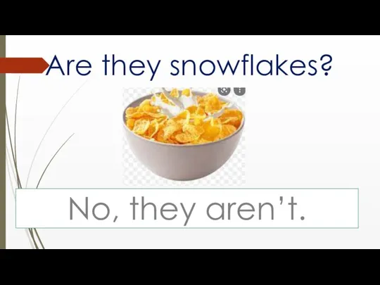 Are they snowflakes? No, they aren’t.