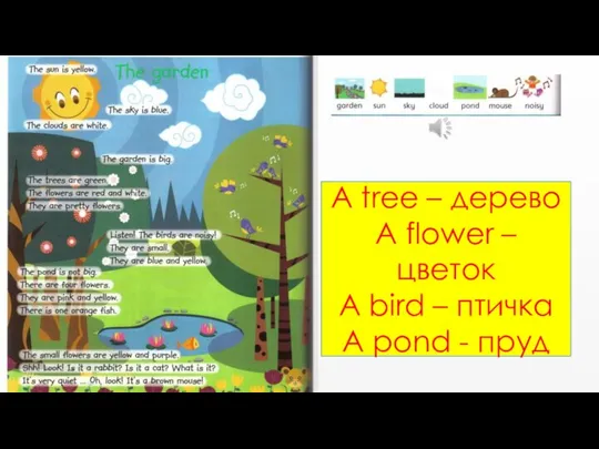 A tree – дерево A flower – цветок A bird – птичка A pond - пруд