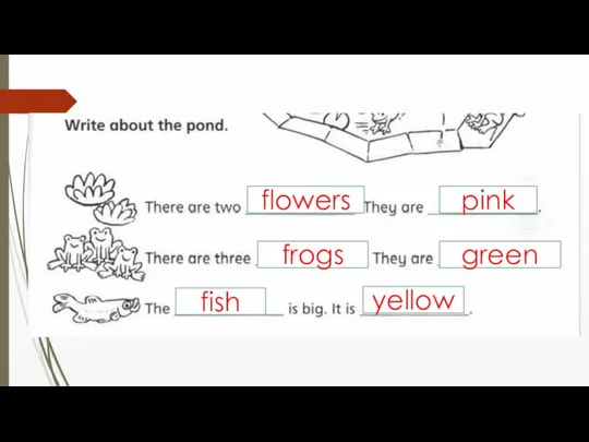 flowers pink frogs green fish yellow