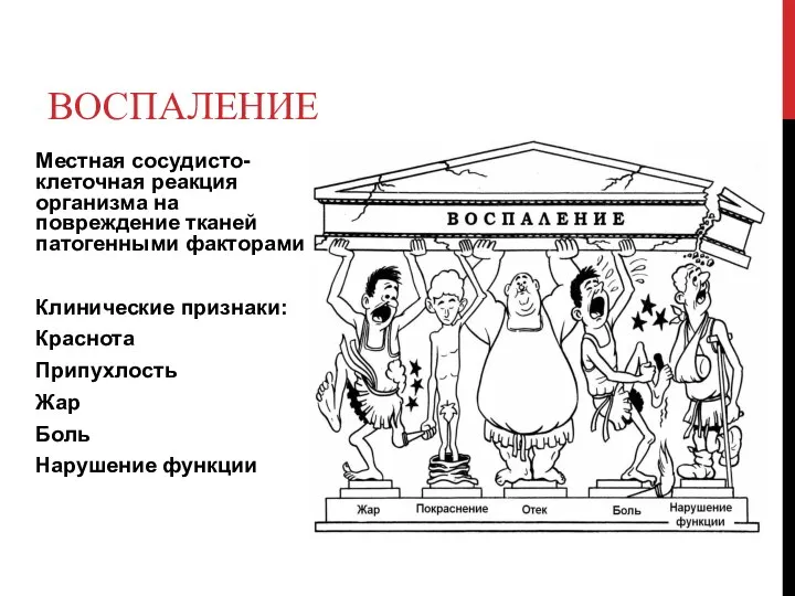 ВОСПАЛЕНИЕ Местная сосудисто-клеточная реакция организма на повреждение тканей патогенными факторами Клинические