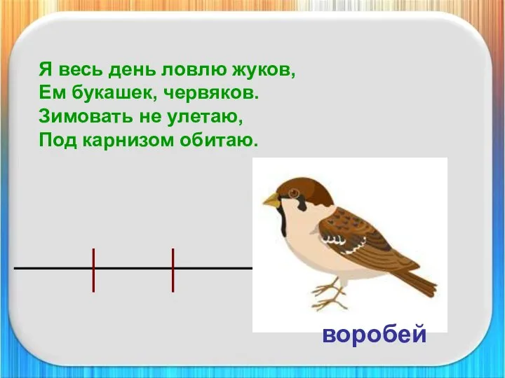 Я весь день ловлю жуков, Ем букашек, червяков. Зимовать не улетаю, Под карнизом обитаю. воробей