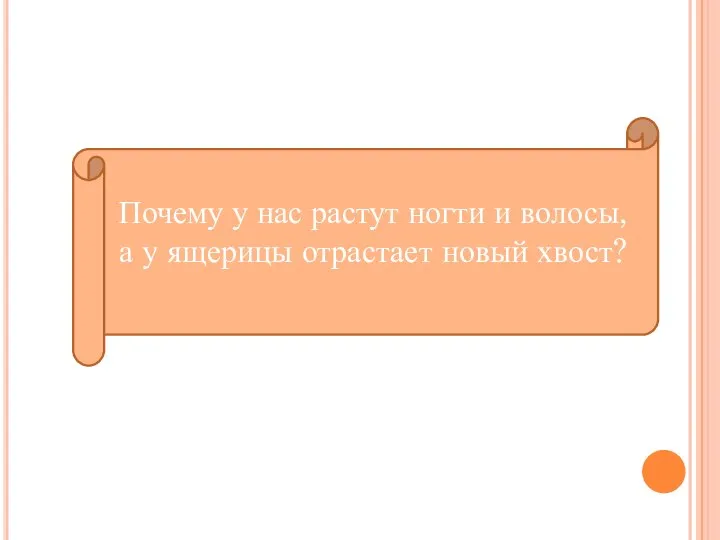 Почему у нас растут ногти и волосы, а у ящерицы отрастает новый хвост?