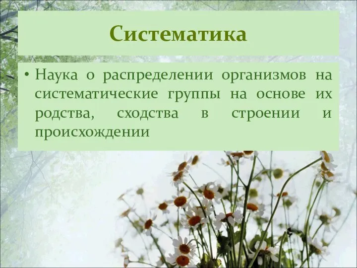 Систематика Наука о распределении организмов на систематические группы на основе их