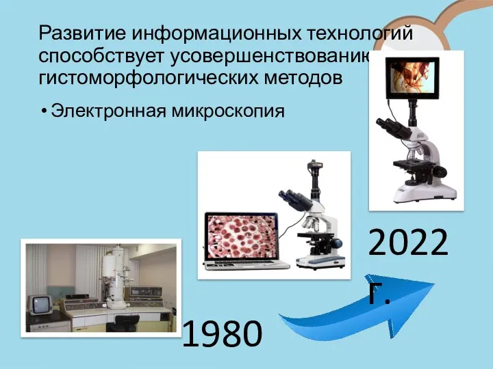 Развитие информационных технологий способствует усовершенствованию гистоморфологических методов Электронная микроскопия 2022 г. 1980 г.