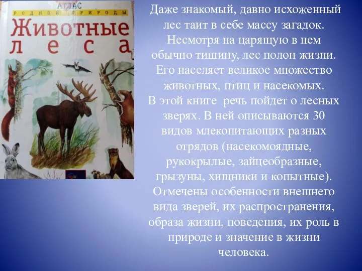 Даже знакомый, давно исхоженный лес таит в себе массу загадок. Несмотря