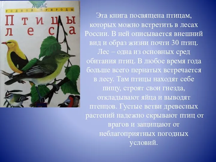 Эта книга посвящена птицам, которых можно встретить в лесах России. В