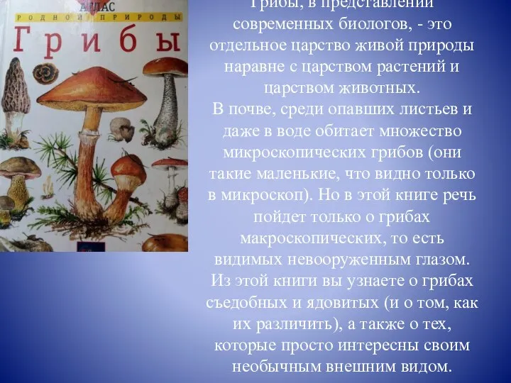 Грибы, в представлении современных биологов, - это отдельное царство живой природы