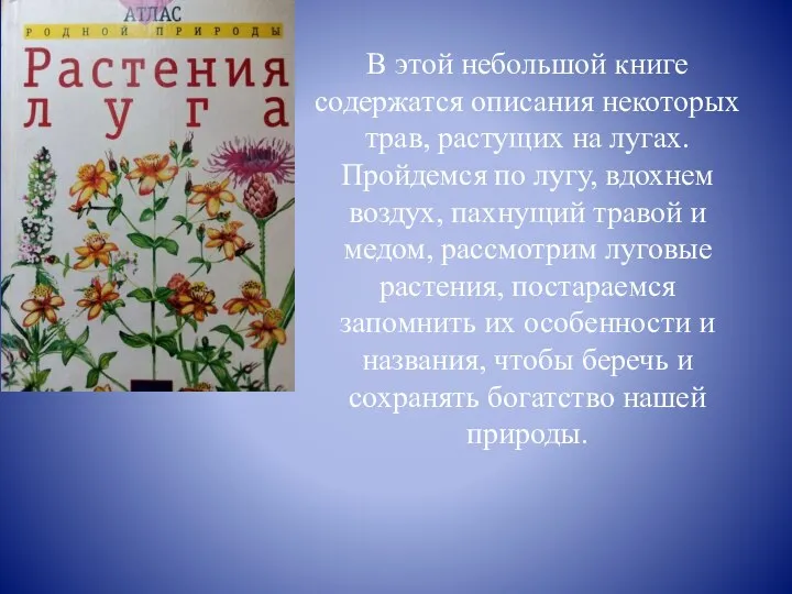 В этой небольшой книге содержатся описания некоторых трав, растущих на лугах.