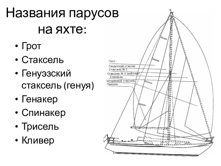 Грот Стаксель Генуэзский стаксель (генуя) Генакер Спинакер Трисель Кливер Названия парусов на яхте: