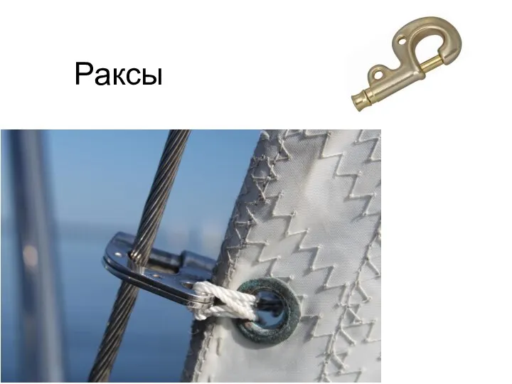 Раксы