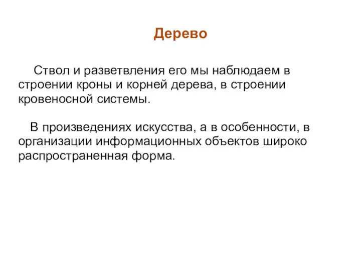 Дерево Ствол и разветвления его мы наблюдаем в строении кроны и