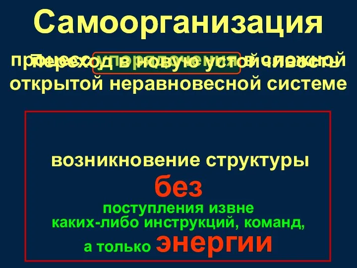 Самоорганизация процесс упорядочения в сложной открытой неравновесной системе возникновение структуры без