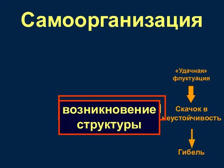 Самоорганизация флуктуация возникновение структуры