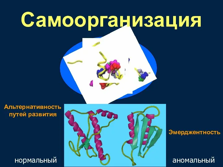 Самоорганизация нормальный аномальный Альтернативность путей развития Эмерджентность